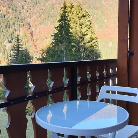 Cosy, Vue Pistes, Parking, - Fr-1-573-48 *